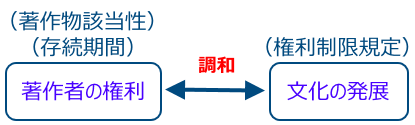 受版权保护的作品的适用性