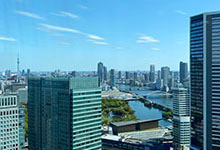 Sumida River Estuary and Sky Tree